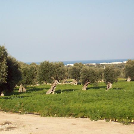 Masseria Ricci Fasano Zewnętrze zdjęcie