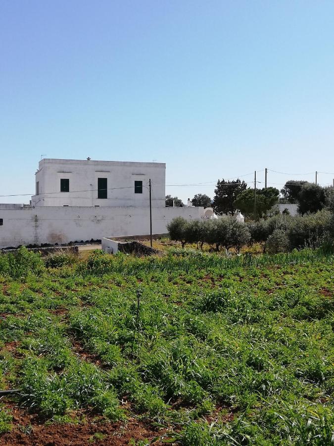 Masseria Ricci Fasano Zewnętrze zdjęcie