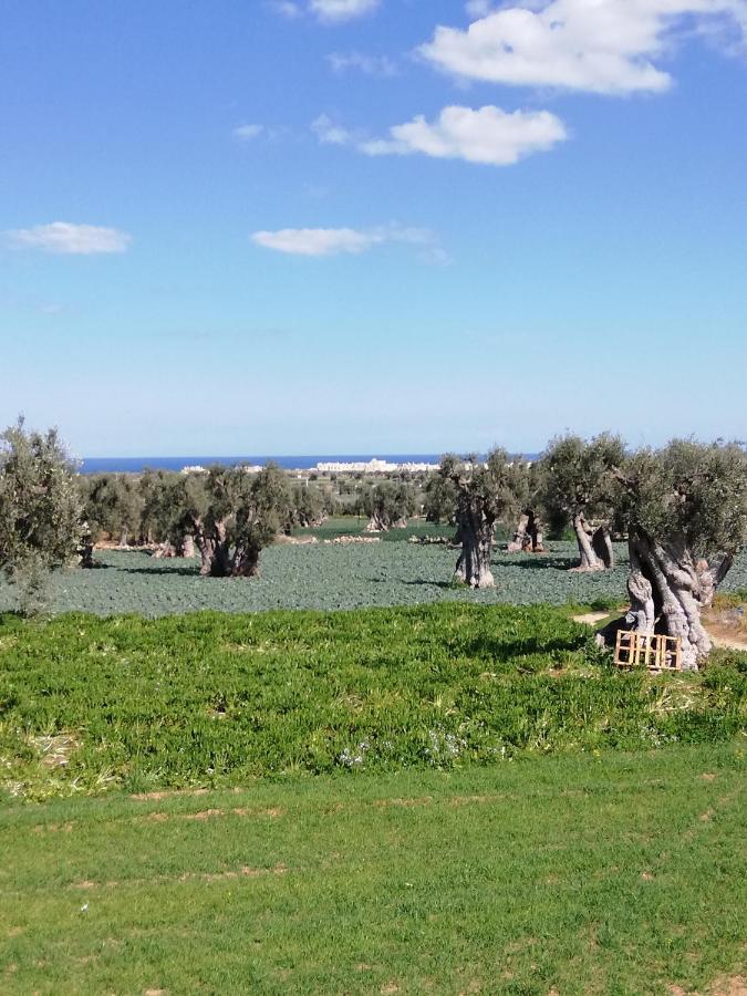 Masseria Ricci Fasano Zewnętrze zdjęcie