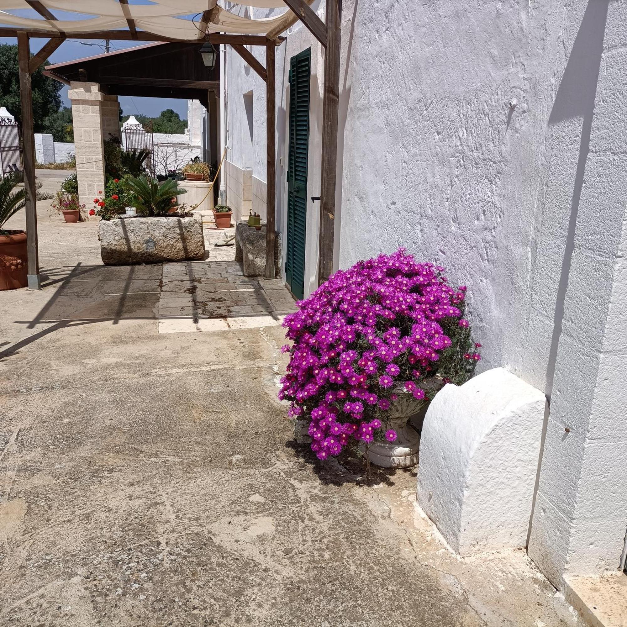 Masseria Ricci Fasano Zewnętrze zdjęcie