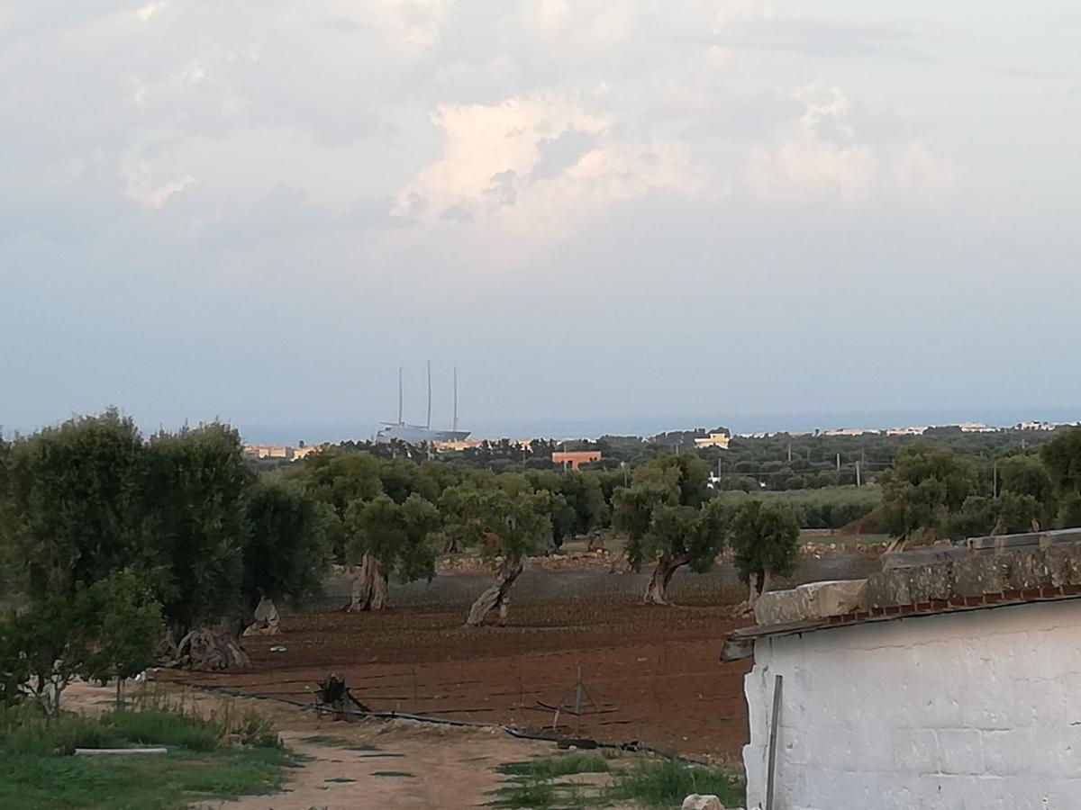 Masseria Ricci Fasano Zewnętrze zdjęcie
