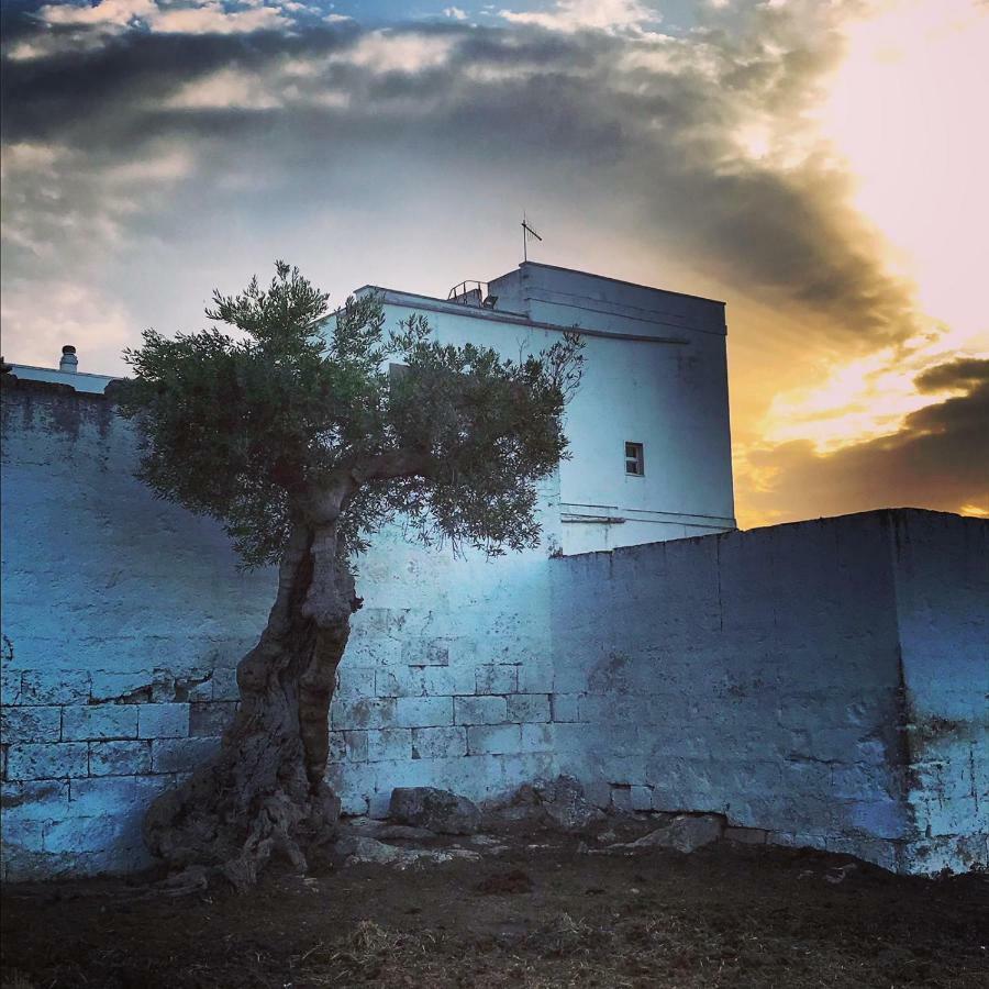 Masseria Ricci Fasano Zewnętrze zdjęcie