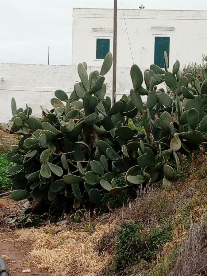 Masseria Ricci Fasano Zewnętrze zdjęcie