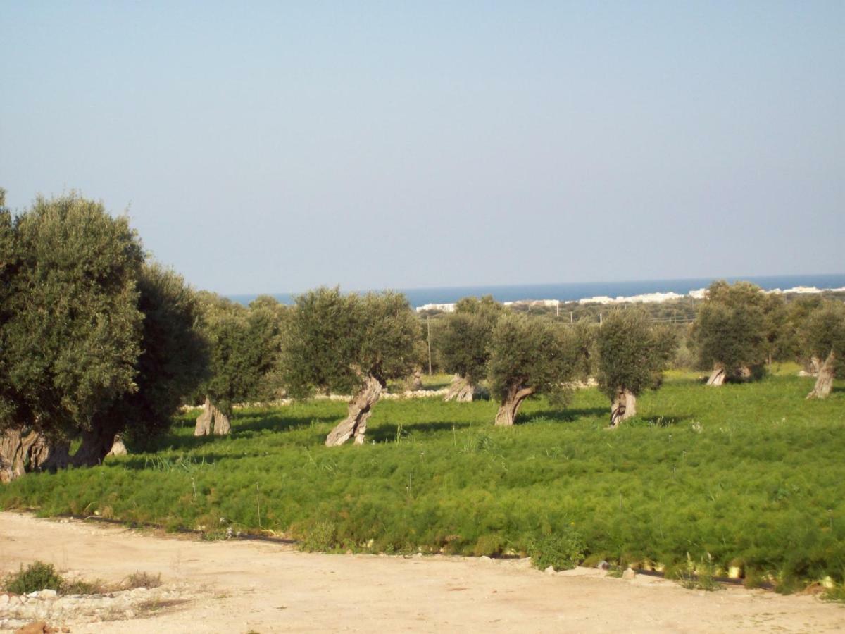Masseria Ricci Fasano Zewnętrze zdjęcie